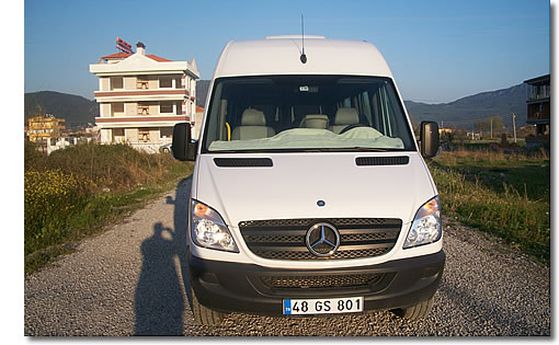 <p>Ara&ccedil; filom