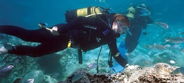 <p>Scuba dalışıyl