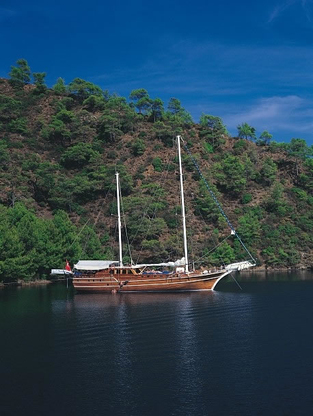 <p>M/S QUEEN OF KARI